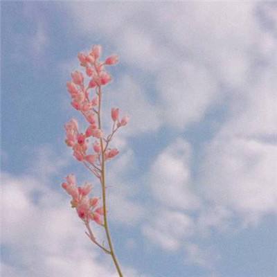 4688美高梅登录中心